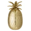 Ananas Isbotte