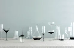 Bubble Champagneglass