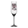 Butterfly Queen Champagneglass