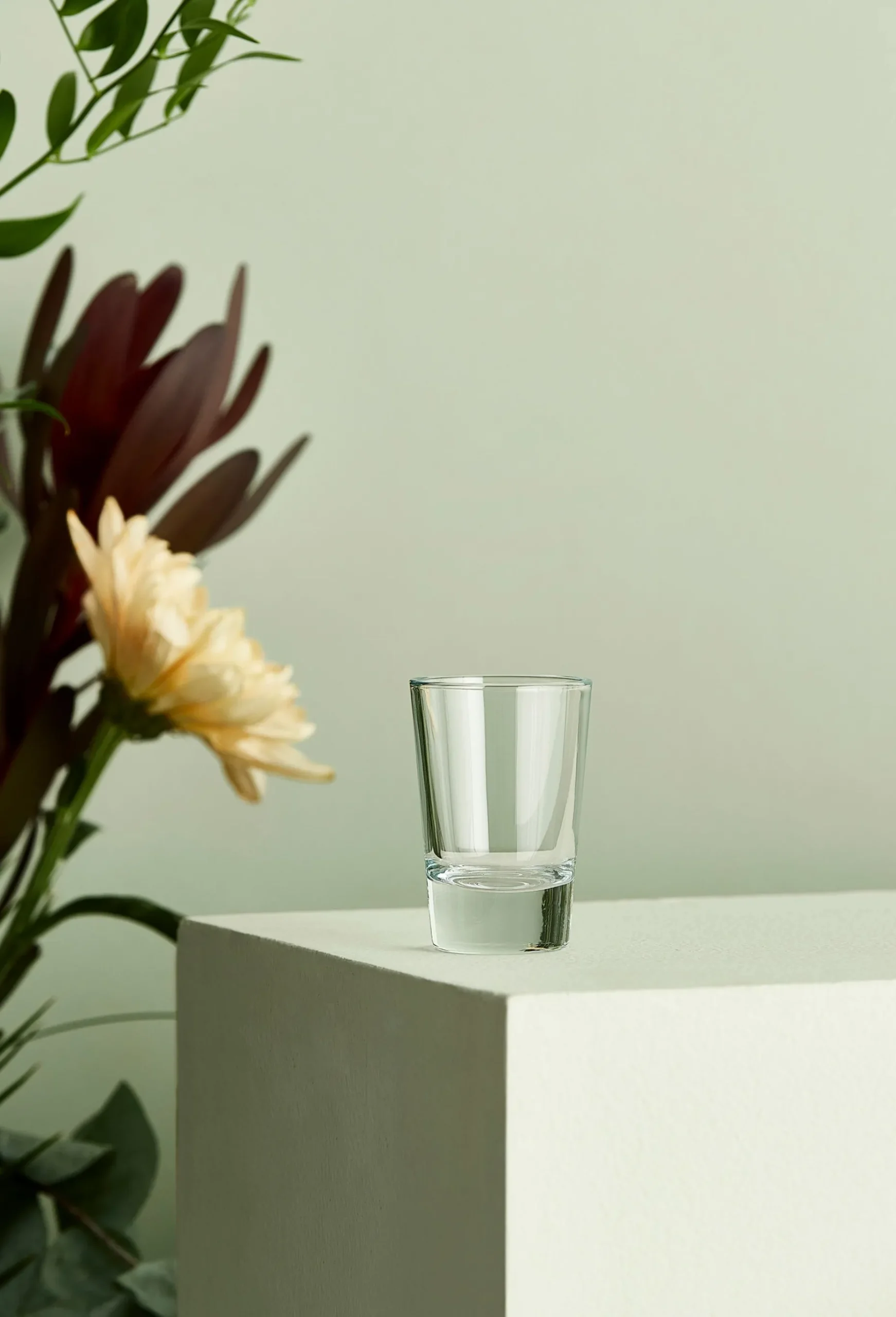 Cafe Shotglass 6,2 Cl