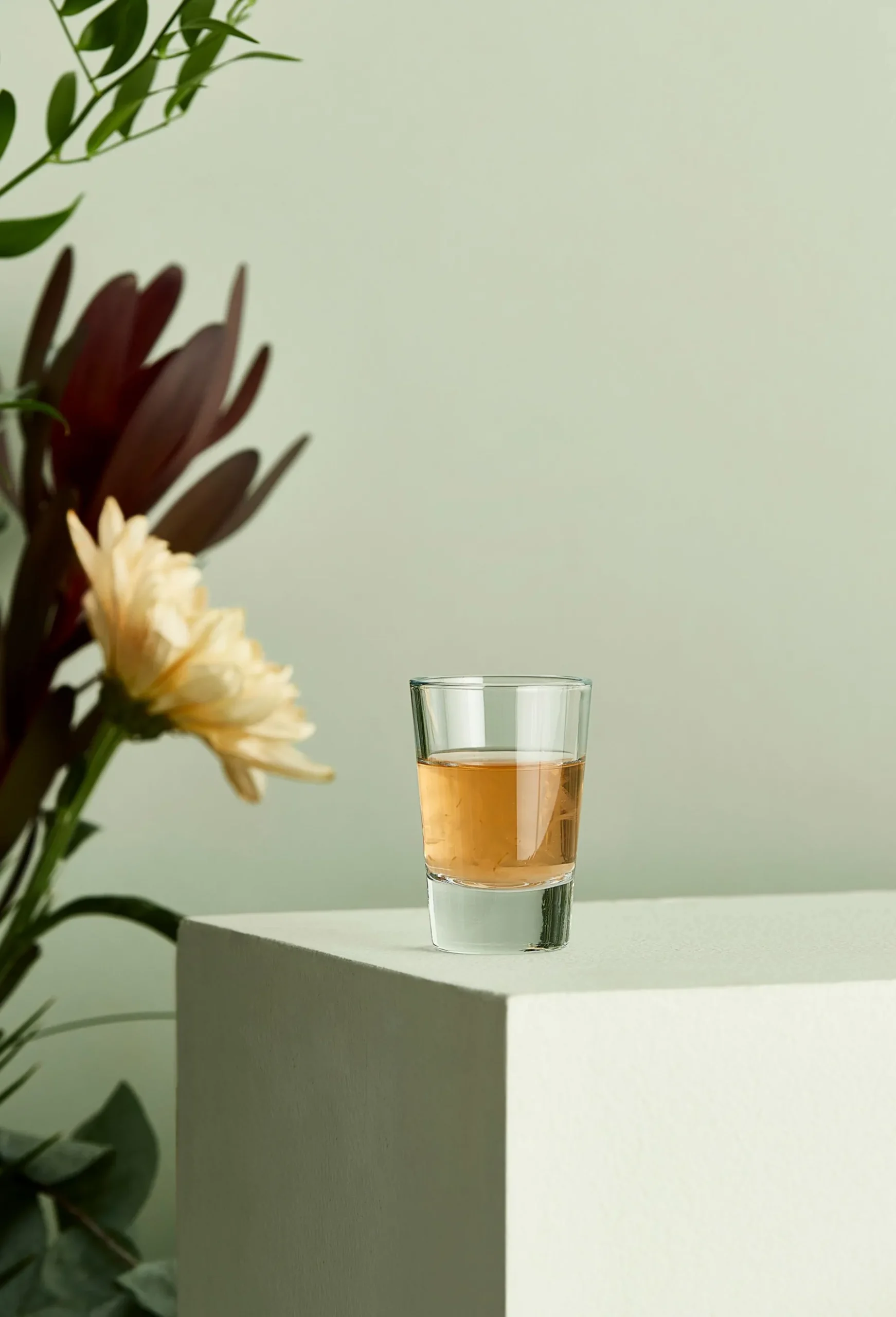 Cafe Shotglass 6,2 Cl