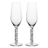 Carat Champagneglass 24 Cl 2-Pakning