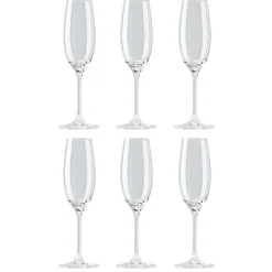 Divino Champagneglass 22 Cl 6-Stk.