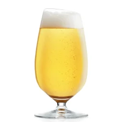 Eva Solo Ølglass Lite 2-Pakn.