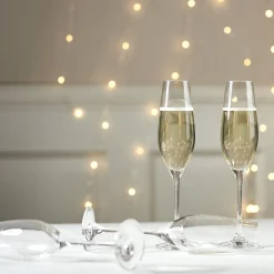 Karlevi Champagneglass 4 Stk.