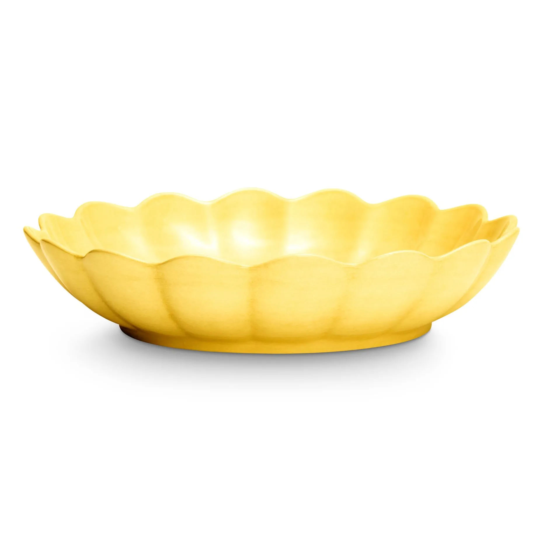 Oyster Ostronskal 31 Cm