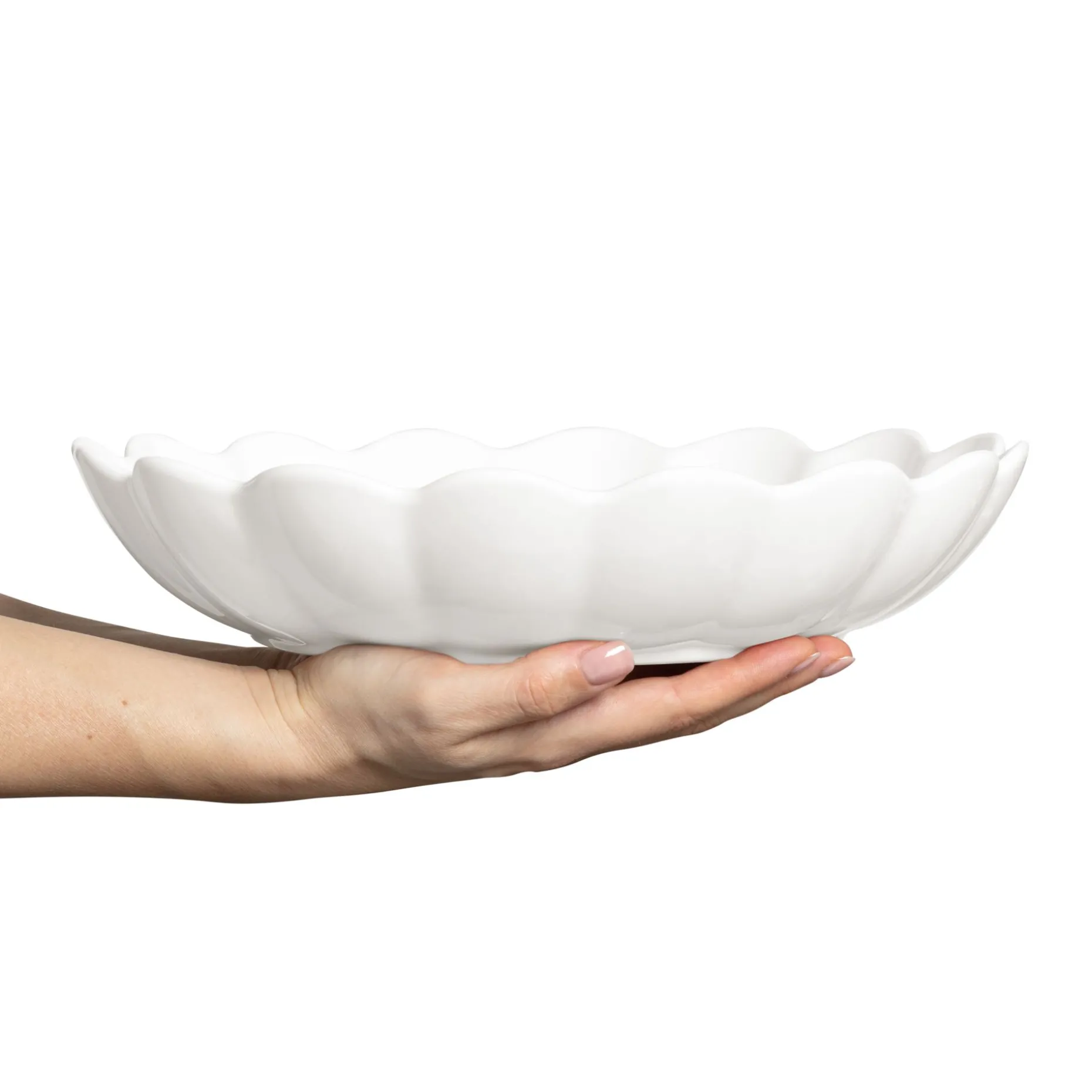 Oyster Ostronskal 31 Cm