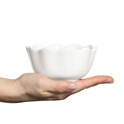 Oyster Ostronskal 13 Cm