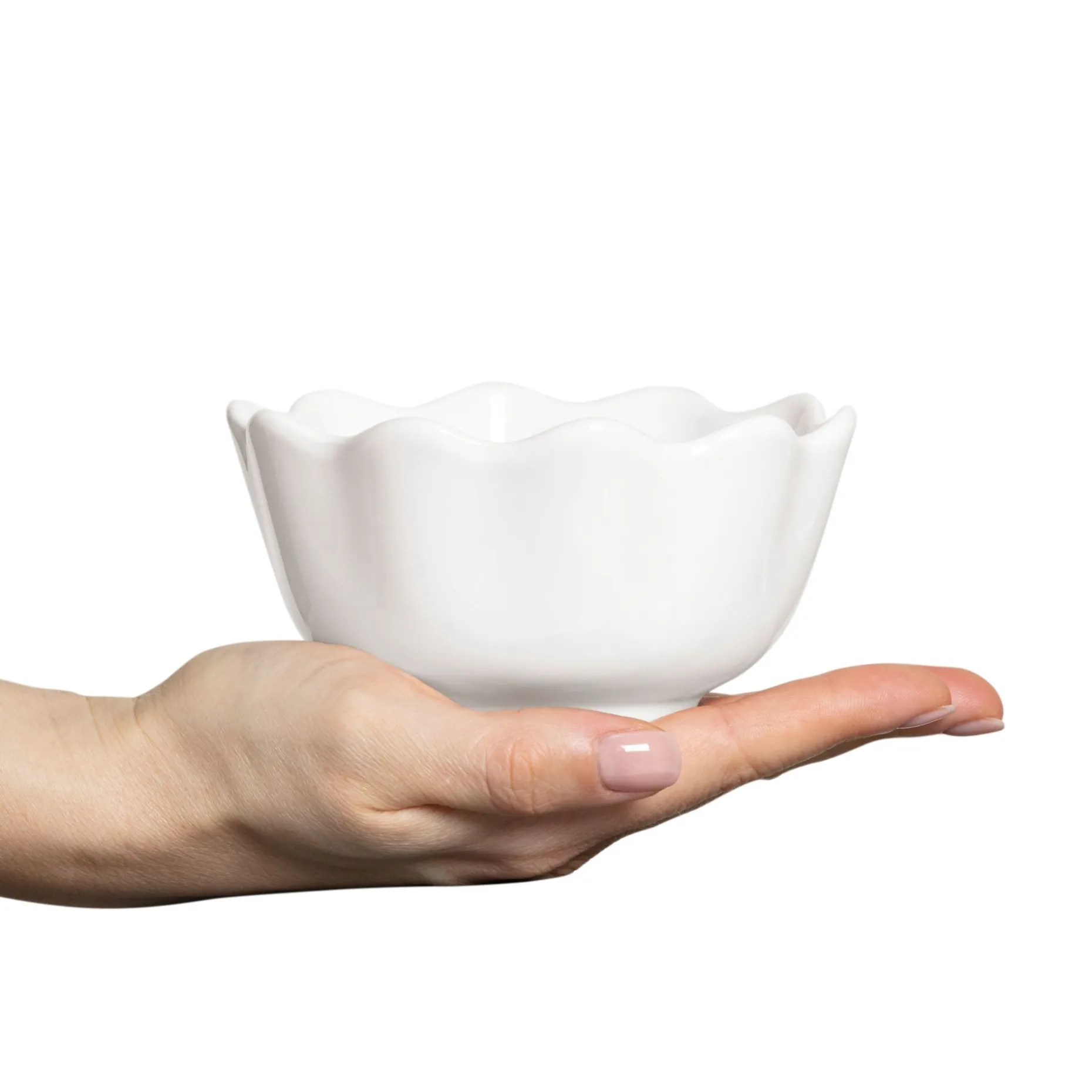 Oyster Ostronskal 13 Cm