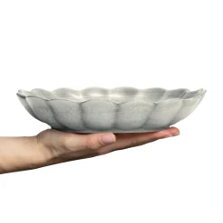 Oyster Ostronskal 24 Cm