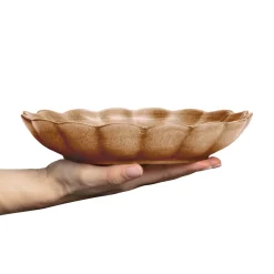 Oyster Ostronskal 24 Cm