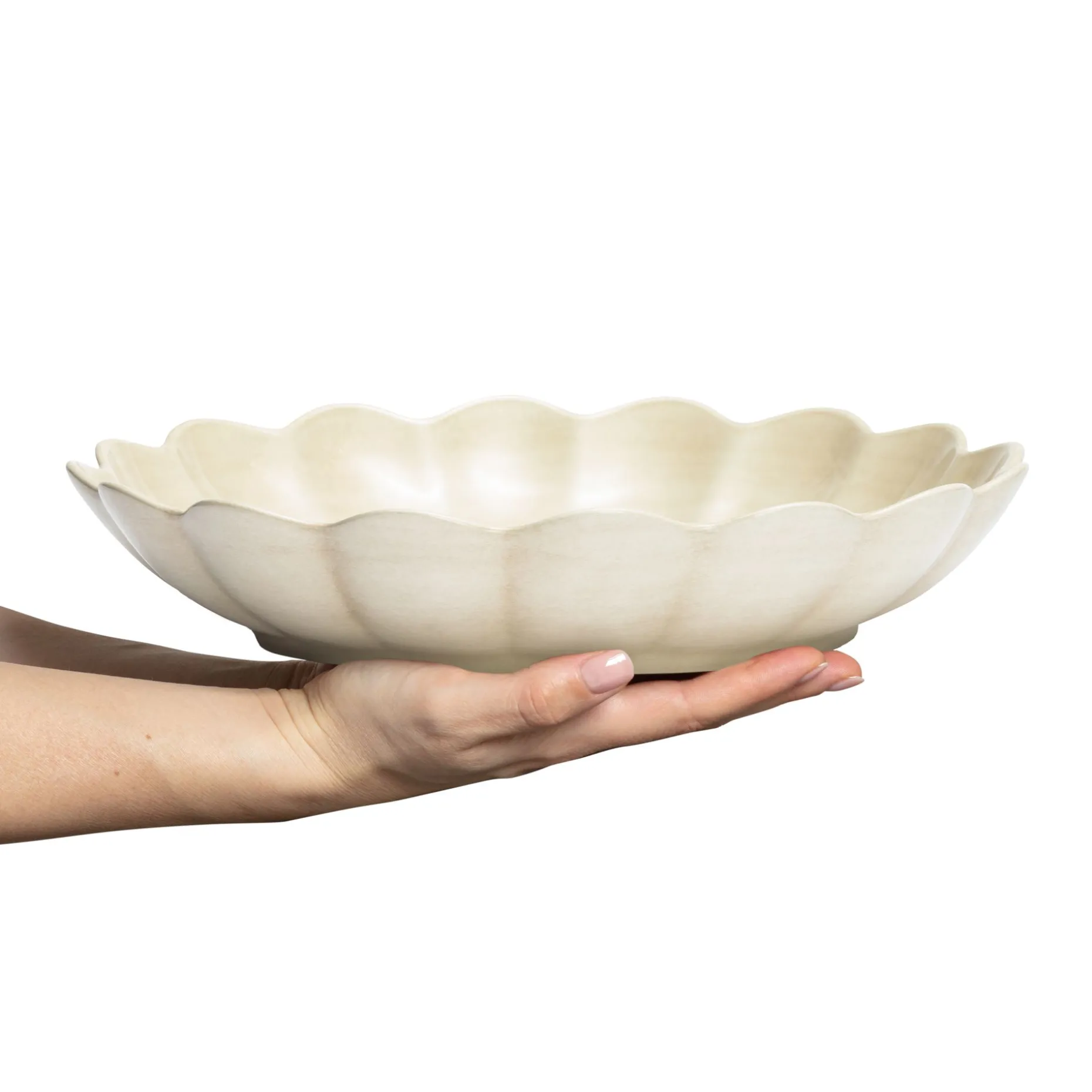 Oyster Ostronskal 31 Cm