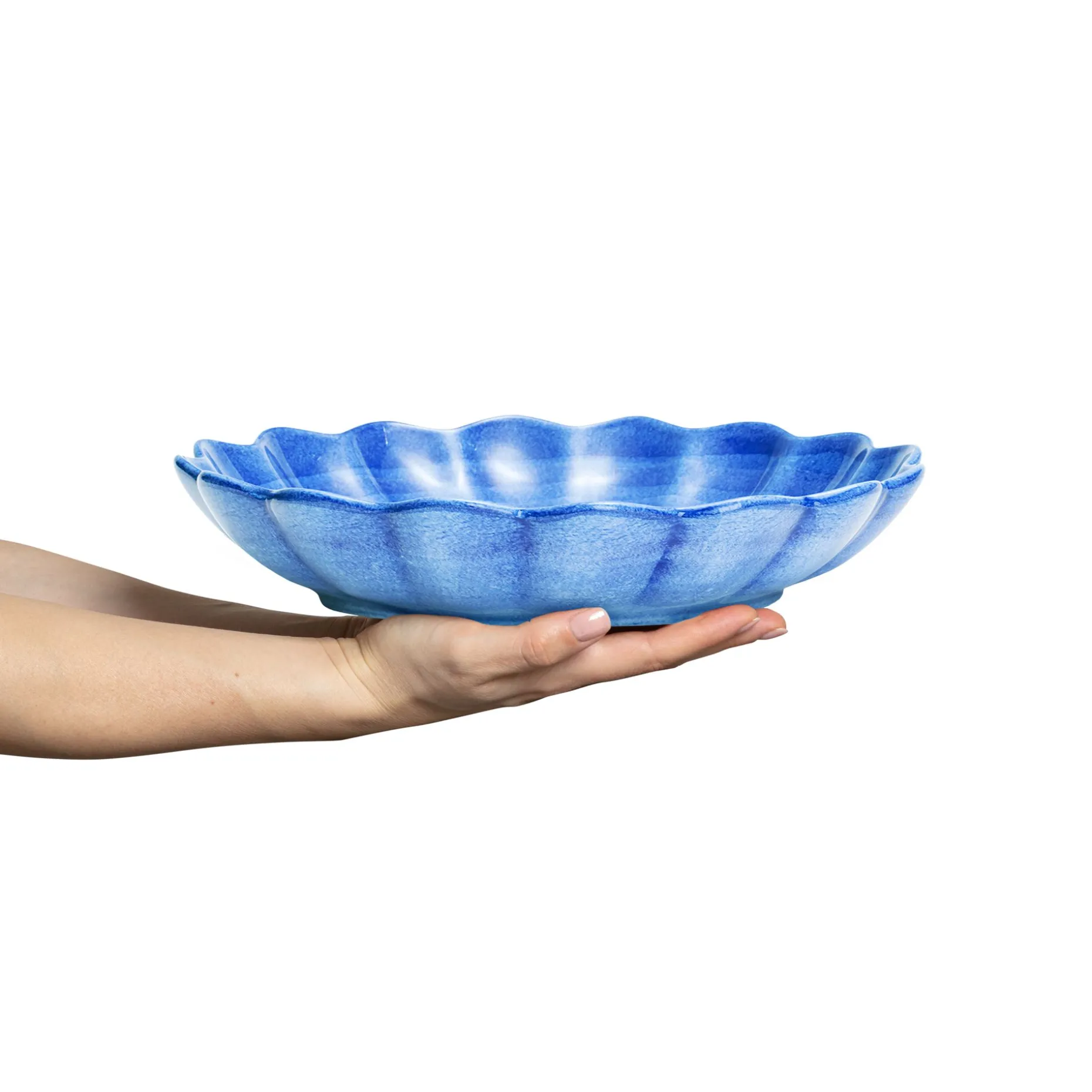 Oyster Ostronskal 31 Cm