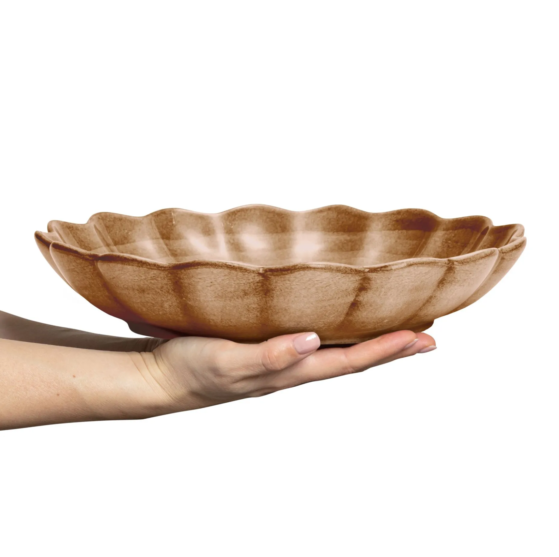 Oyster Ostronskal 31 Cm