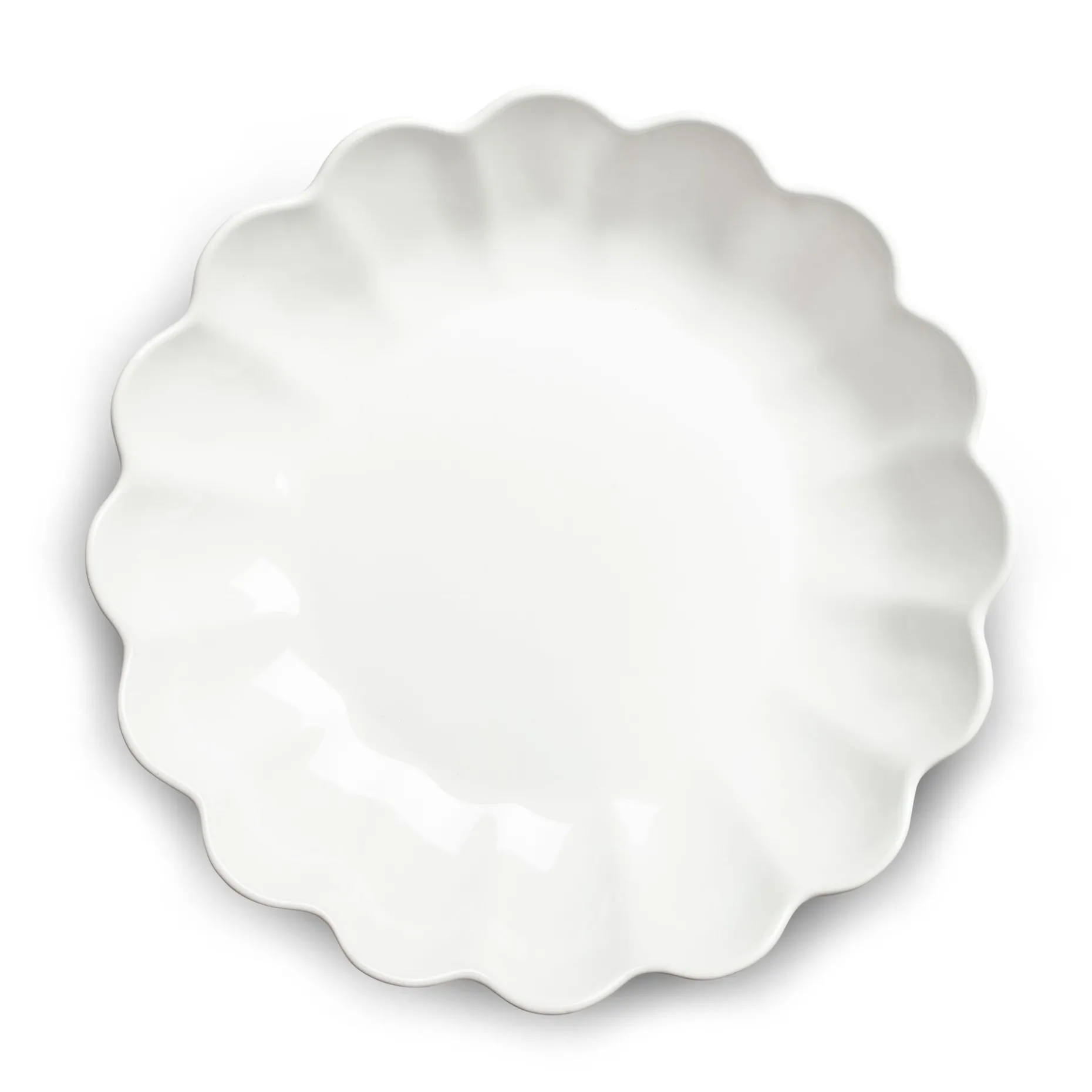 Oyster Ostronskal 31 Cm