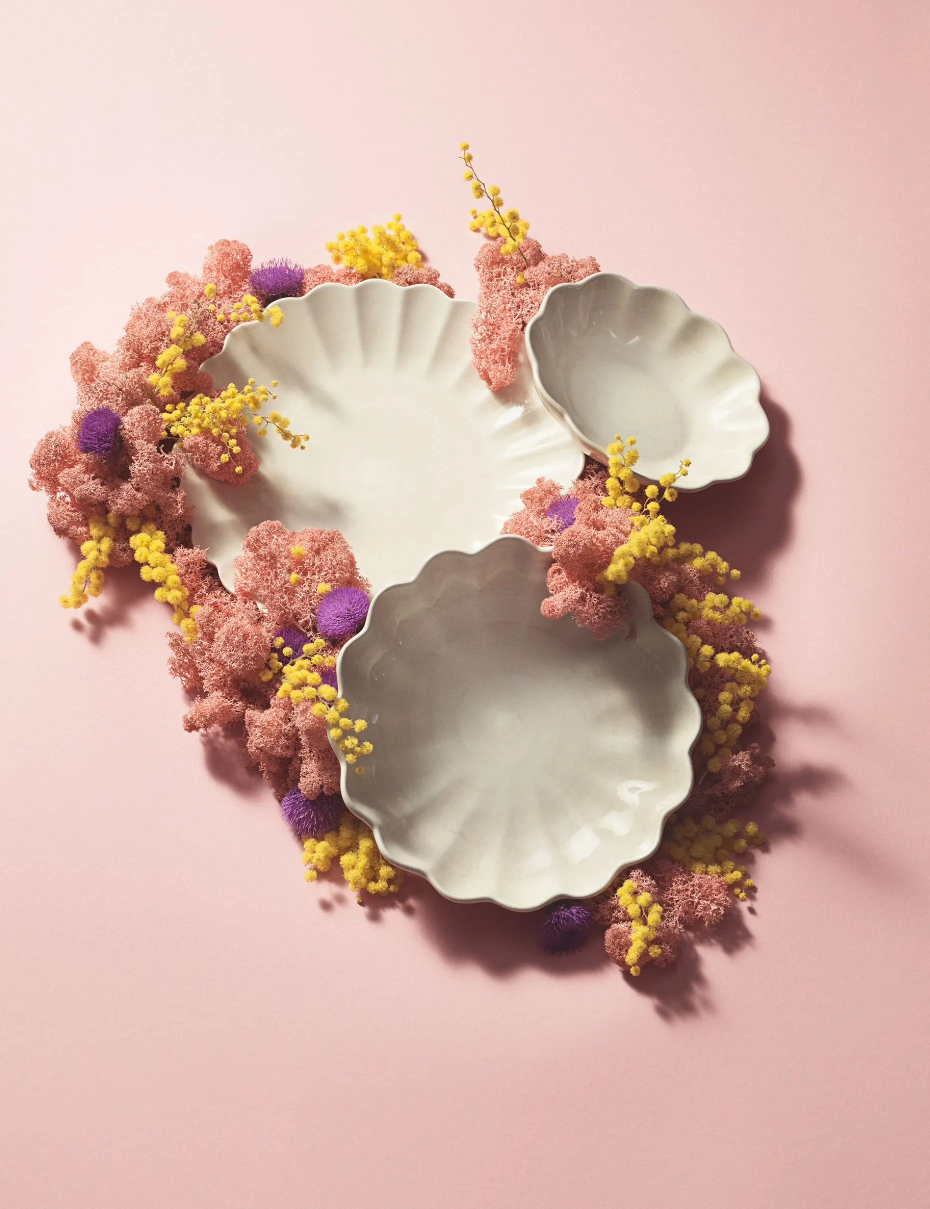 Oyster Tallerken 20 Cm