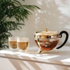 Pavina Glass Med Doble Vegg 6 Stk