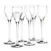 Perfection Snapsglass 5,5 Cl 6-Pakning