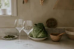 Riedel Veloce Pinot Noir-Nebbiolo Vinglass 2-Pakning