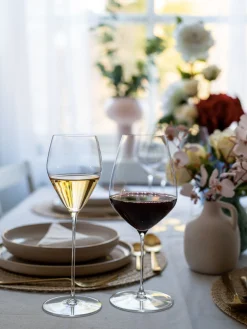 Riedel Veloce Syrah-Shiraz Vinglass 2-Pakning