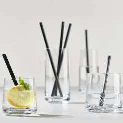 Rocks Lowball Glass 2-Stk.